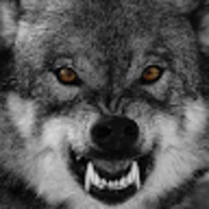 Meet your Posher, Stephen